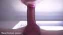 1621460379316_thumb.jpg