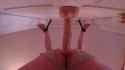 5d636fba99f88baac9f5011a98c2f37c5c752bbc5b4ff3d4249af54742a496f0_thumb.jpg