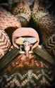 RDT_20250304_081841_thumb.jpg