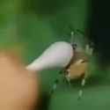 freetaste_thumb.jpg