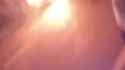toasty12_thumb.jpg