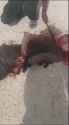 VID_20250612_100930_072_thumb.jpg