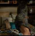 m2-res_1096p_thumb.jpg
