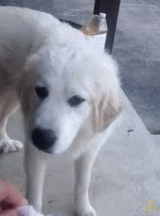 do not want