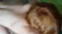 480p.h264_thumb.jpg