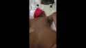 bwcraceplayZOctLYZw_720p(1)_thumb.jpg
