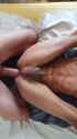 1641028134278_thumb.jpg
