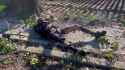 Niglets burned aftermath of gas explosion charred bodies_thumb.jpg