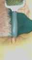 3544_thumb.jpg