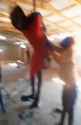 VID_20250613_081346_179_thumb.jpg