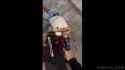 VID_20250613_081326_688_thumb.jpg