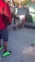 VID_20250613_081253_028_thumb.jpg