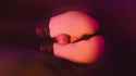 605096122_thumb.jpg