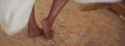 42d138db964372f3eb78bca11c0ccfb97df1c72f7deda874326eb7a16b048451_thumb.jpg