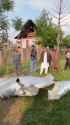 CNN looks at Pakistans claim it shot down Indian aircraft_thumb.jpg