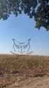 Hohol MiG-29 shot down near border with Kursk_thumb.jpg