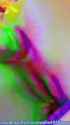 456_thumb.jpg