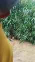 1745969987550799_thumb.jpg