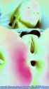 LN_0742_thumb.jpg