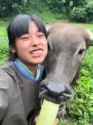 Chinese girl shares food with water buffalo_thumb.jpg