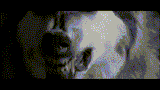 Wolf2