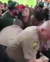 assault cops2_thumb.jpg