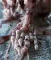 1683106586002314_thumb.jpg