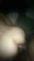 71493_thumb.jpg