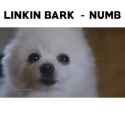 1749898606203145_thumb.jpg