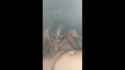2541519_thumb.jpg