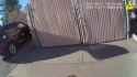 aggressive_pit_bull_shot_by_cop03_thumb.jpg