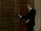 bush monkey escape