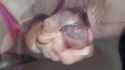 1721344641169059_thumb.jpg