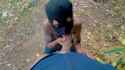 38fa6e54071ec1109e9d3971fab9cc1bf45b4c64308de89081cc02f7c5657efb_thumb.jpg