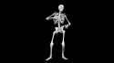 Skeleton Dance_thumb.jpg