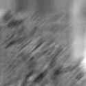 1750027956248459_thumb.jpg