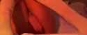 MasturbationSocks_thumb.jpg