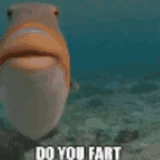 do-you-fart-fish-fry