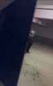 1716193382229468_thumb.jpg