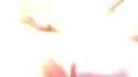 chaoslogic.fangs.hmv.pmv_6_thumb.jpg