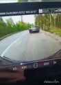 kid-is-killed-by-falling-tree-1_OHw7YXJh_thumb.jpg