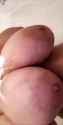 28787_thumb.jpg