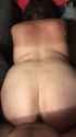 doggy_thumb.jpg
