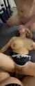 1706422243739701_thumb.jpg
