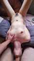 28195083_thumb.jpg