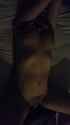 screamer_thumb.jpg