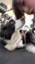 Hyo-Jin Pupper Kiss_thumb.jpg