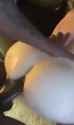 1708412056274736_thumb.jpg
