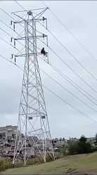 Elec Mx 1729680264 D2c 11_thumb.jpg
