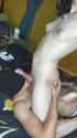 1689769941420912-lr_thumb.jpg